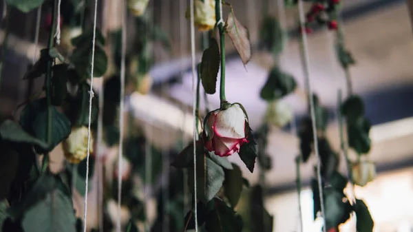 Свадебное украшение розы крупным планом. Подвешенный на струнах розовый. Мелкий фокус — стоковое фото