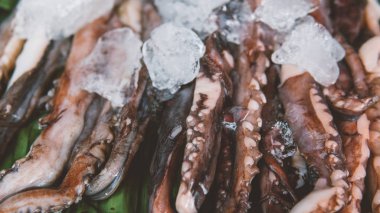  Ahtapot buz üzerinde yerel pazara yakın çekim.