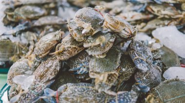  Yerel Pazar yakın çekim üzerinde Yengeç