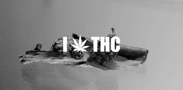 Сорняк тупым крупным планом. две почки лежа на листе сигареты марихуаны — стоковое фото