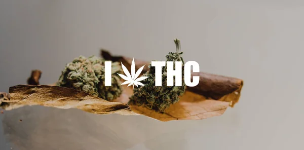 Weed trubbiga närbild. två knoppar av marijuana liggande på en cigarett ark — Stockfoto