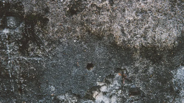 Texture grunge avec moss close-up . — Photo