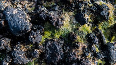 Volkanik plajlar ve resifleri Kanarya Adaları. İspanya'daki volkanik adalar.