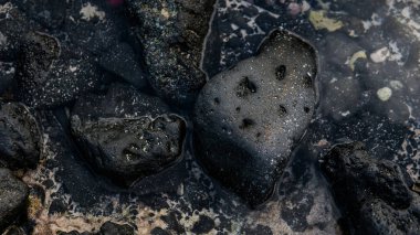  camadan sahilleri Kanarya Adaları. Lav kayalık dokusuna