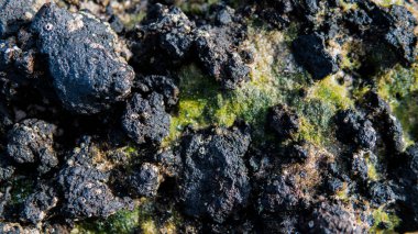  camadan sahilleri Kanarya Adaları. Lav kayalık dokusuna