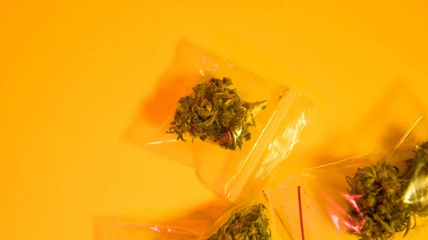 Colmillos de marihuana bolsillo de plástico de cerca. Las mejores variedades de marihuana 2018 — Foto de Stock