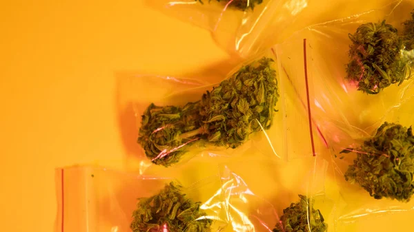 Verpakte kegels van marihuana op een gele achtergrond close-up. Genezing van marihuana in Amerika — Stockfoto
