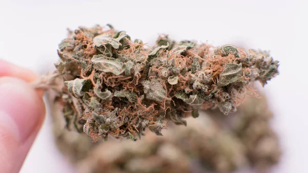 Medical Marijuana Jar close-up. — Stock Photo, Image