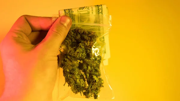 Knoppar av marijuana och dollar på varma bakgrund närbild — Stockfoto