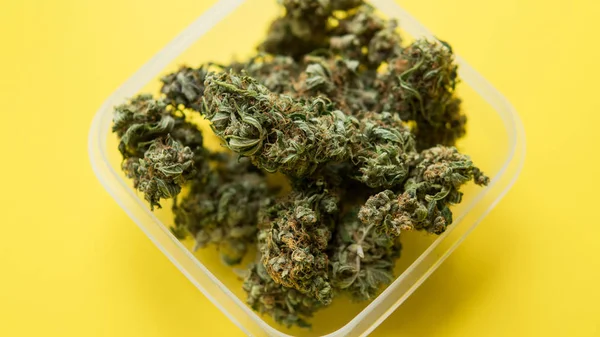 Marihuana en un recipiente de plástico sobre el fondo amarillo — Foto de Stock