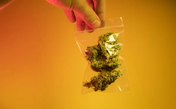 Close up of medical marijuana buds — Stock Photo, Image