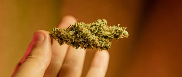 Närbild av medicinsk marijuana knoppar — Stockfoto