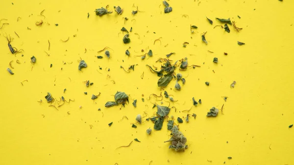 Hierba marihuana hojas en el fondo amarillo de cerca . —  Fotos de Stock