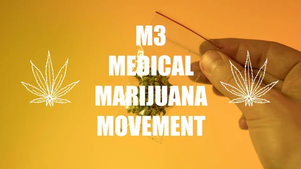 Medicinale cannabis toppen close-up. — Stockfoto