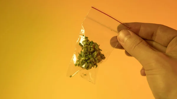 Medical marijuana, dried and ready for use — Stock Photo, Image
