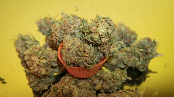 Medical marijuana, dried and ready for use — Stock Photo, Image