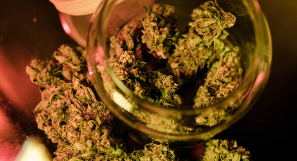 Bid марихуаны почки сильного штамма с изображением формулы CBD конопли
 