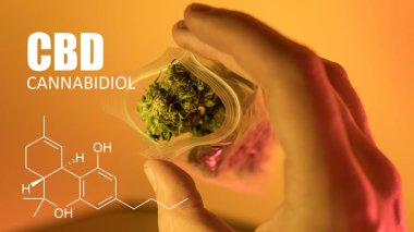 Esrar esrar tomurcukları formül Cbd cannabidiol görüntü ile 