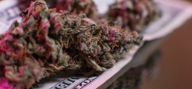 Esrar esrar sativa kafaları arka plan.