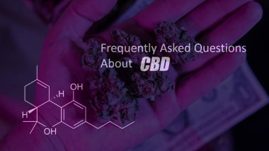 Esrar tomurcukları resim formül Cbd yakın çekim. Esrar kavramı şifa 