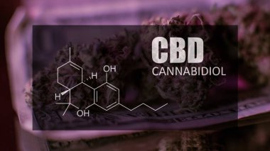Kimyasal formülü Cannabidiol (Cbd). Yakın çekim
