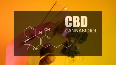 Formül Cbd cannabidiol resmini güçlü baskı teklif esrar tomurcukları 
