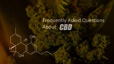 Kimyasal formülü Cannabidiol (Cbd). Yakın çekim
