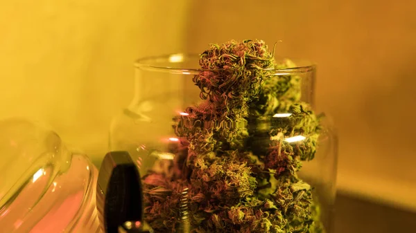 Esrar indica veya sarı zemin üzerine esrar tomurcukları yakın çekim 