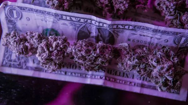 Marijuana buds with dollars bills close-up. — Stock Photo, Image