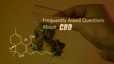 Esrar esrar tomurcukları formül Cbd cannabidiol görüntü ile 