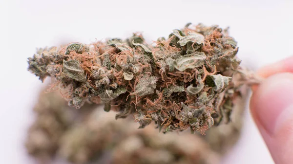 Medische marihuana Jar close-up. — Stockfoto