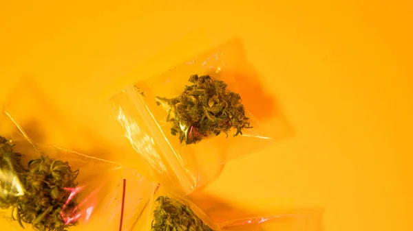 Pączki z bliska plastikowych kieszeni marihuany. Najlepszych szczepów marihuany 2018 — Zdjęcie stockowe