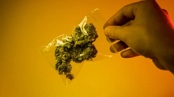 Marihuanę nielegalną sprzedaż w Europie i Rosji. Plany dla legalizacji na 2018 — Zdjęcie stockowe