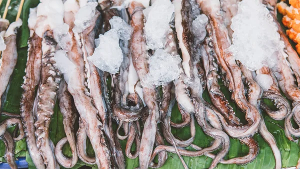 Octopus in ijs op de lokale markt close-up. — Stockfoto