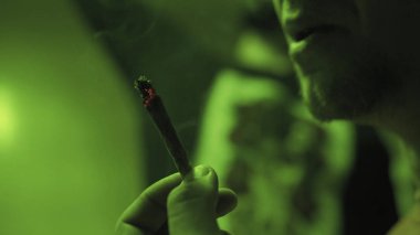 esrar tomurcukları yakın çekim ile ortak haddeleme. Dünya kültüründe yasaktır 