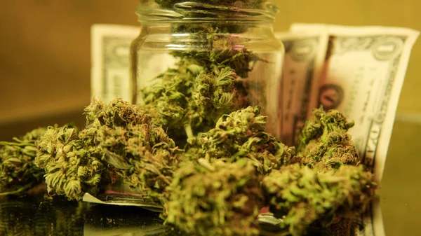 Concepto de marihuana medicinal. concepto dispensario de marihuana medicinal — Foto de Stock