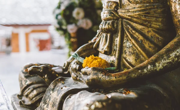 Close-up de múmia de monge santo no templo Wat Khun Aram, Koh Samui, Tailândia . — Fotografia de Stock