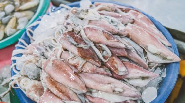 mürekkep balığı Pazar yakın çekim