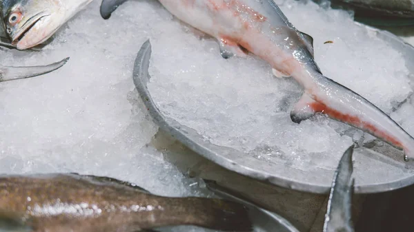 Mercados de peixe tailandeses close-up . — Fotografia de Stock