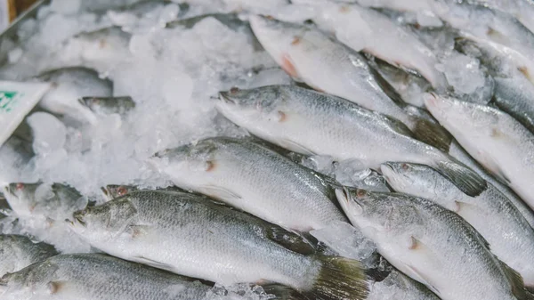 Thai Fish Markets close-up.