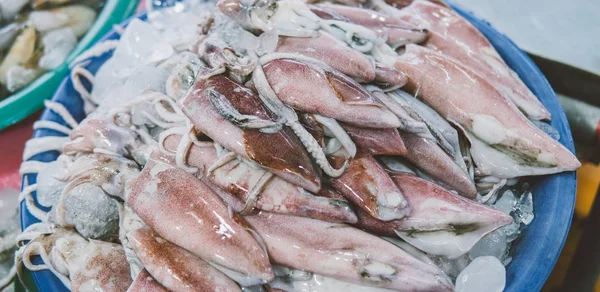Squids in the fish market close-up — Stock Photo, Image