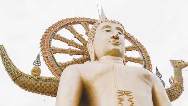 The temple of Wat Phra Yai and the statue of the Big Buddha general view — Stock Photo, Image