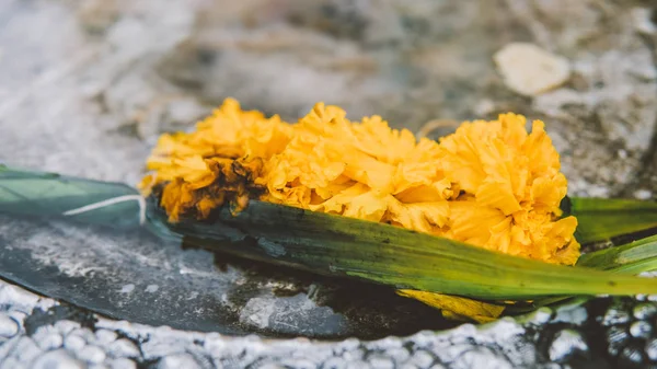 Тайский традиционный буддийский цветок крупным планом — стоковое фото