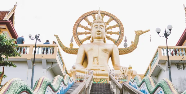 O templo de Wat Phra Yai e a estátua do Grande Buda vista geral — Fotografia de Stock