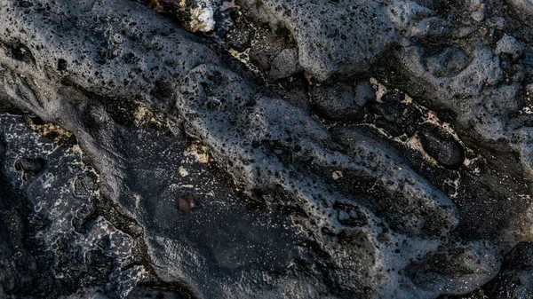 Playas de arrecifes de Canarias. Textura de los arrecifes de lava —  Fotos de Stock