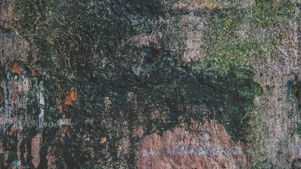 Бетонная стена с пятнами воды и мхом крупным планом — стоковое фото
