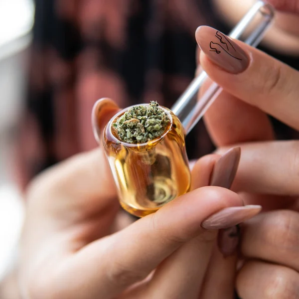 Explora las cepas de cannabis con una nueva perspectiva. Cannabinoide y —  Fotos de Stock