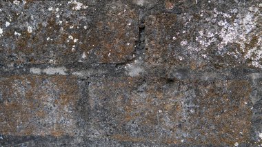 mantarlı beton duvar dokusu