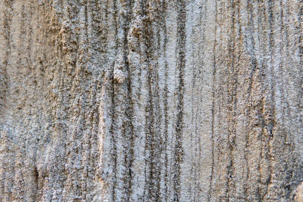 Textura Parede Concreto Close — Fotografia de Stock