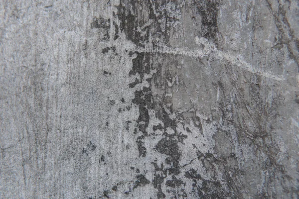 Textura Parede Concreto Com Fungo — Fotografia de Stock